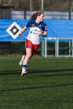 Bild 160 - wBJ Hamburger SV - Hertha BSC : Ergebnis: 2:1